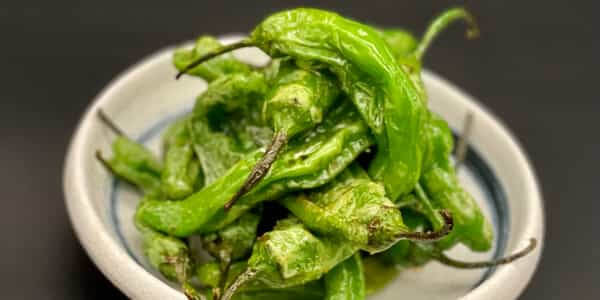 Shishito Pepper