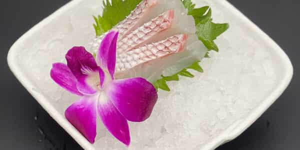 Tai Sashimi